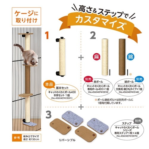 キャットわくわく