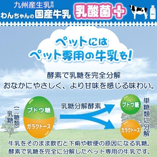 わんちゃんの国産牛乳 乳酸菌プラス×24