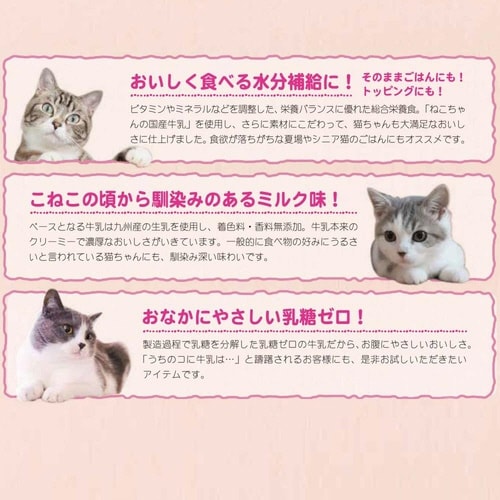 猫ちゃんの国産牛乳を使ったスープごはん