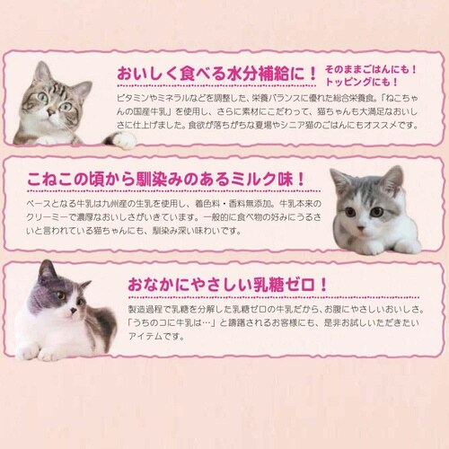 猫ちゃんの国産牛乳を使ったスープごはん