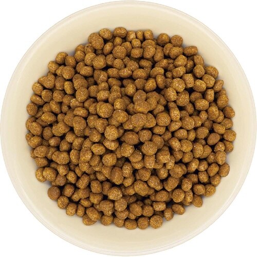 まいにちでるでるごはん 犬用 皮膚・被毛