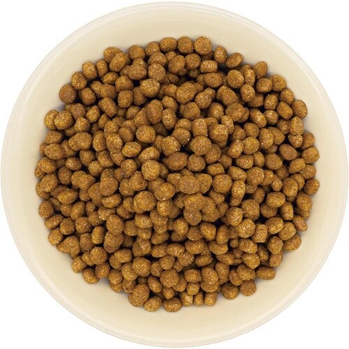 まいにちでるでるごはん 犬用 お腹の健康