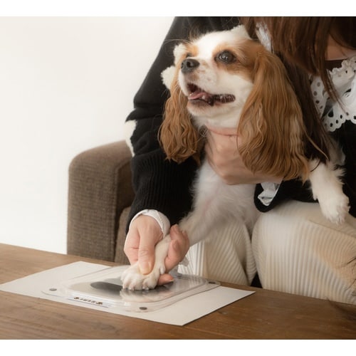 ぺたっち犬猫用 ももいろ