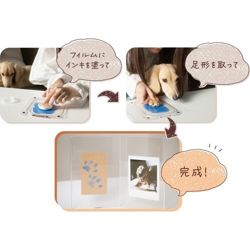 ぺたっち犬猫用フォトフレームセットももいろ