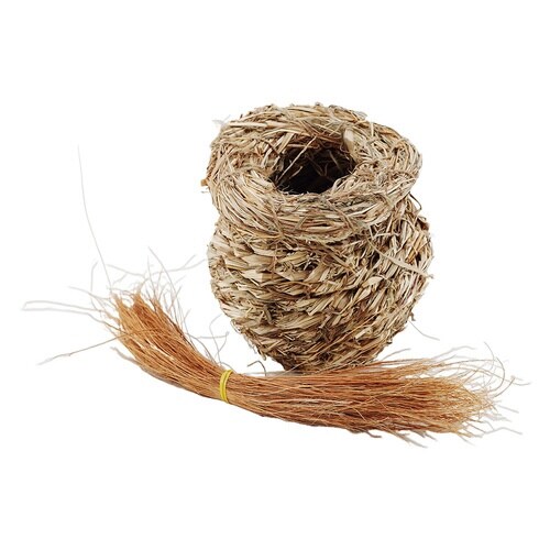 NFつぼ巣巣草入り中