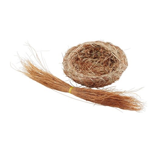 NF皿巣巣草入り