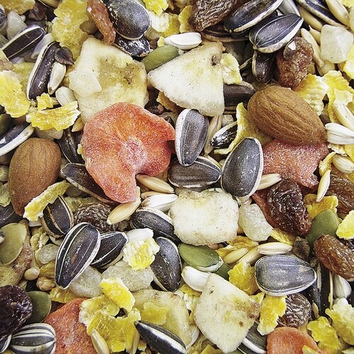 バードテイスト 大型インコ