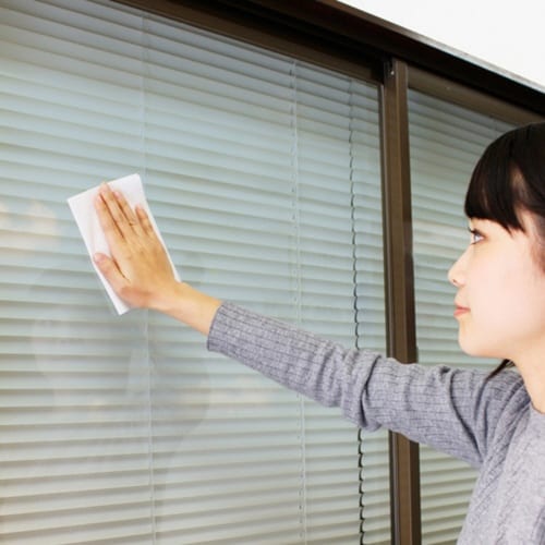 ウェットシート 除菌 20枚入 ガラス 窓 鏡 車