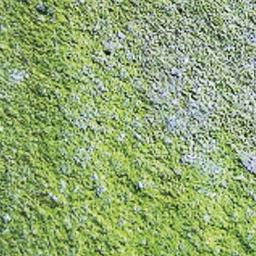 コケ取り剤 400ml アズマジック スプレー