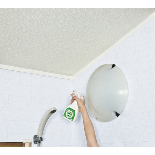 カビ取り カビが生えにくくなるスプレー