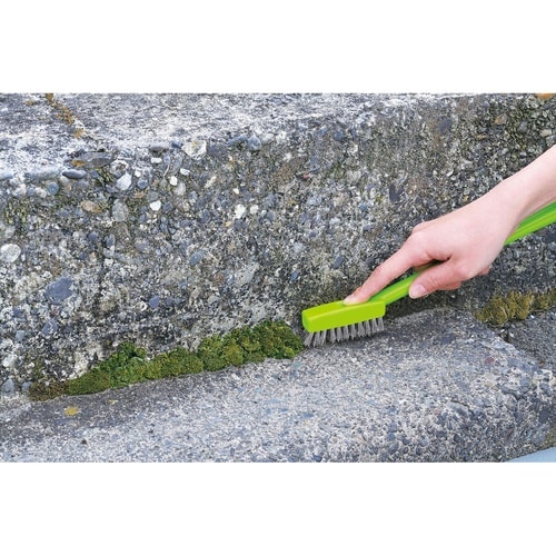 コケ取りブラシ ステンレス