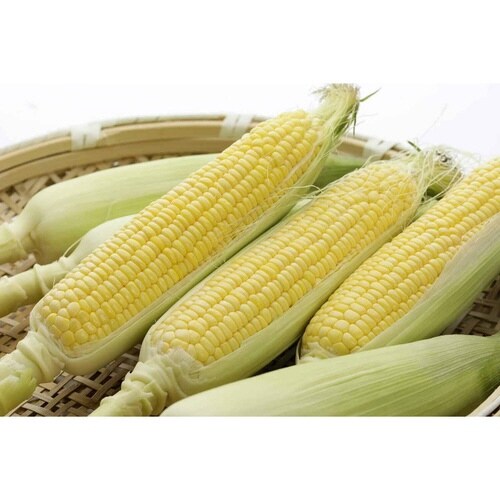 コーンカッター キュートクック