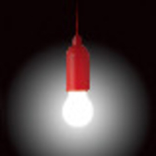 LEDライト アウトドア ライト LED ランプ