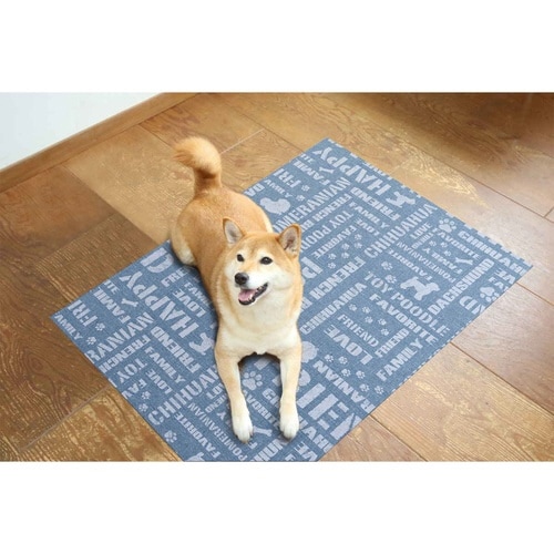 マット ペット用 60cmx90cm 英字 ブルー