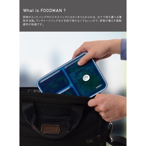 箸箱セット 抗菌 20.5cm 箸 グレーベージュ