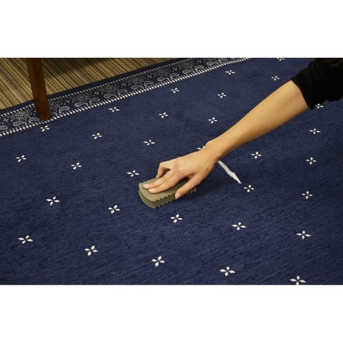 ペットの毛取りスポンジ ケトール hachi