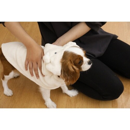 ペット用ローブ hachi カラリペットローブ