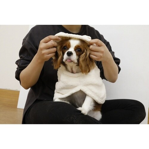 ペット用ローブ hachi カラリペットローブ
