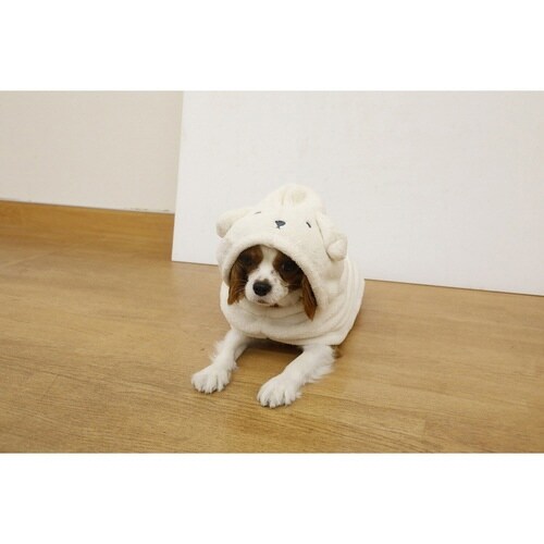 ペット用ローブ hachi カラリペットローブ