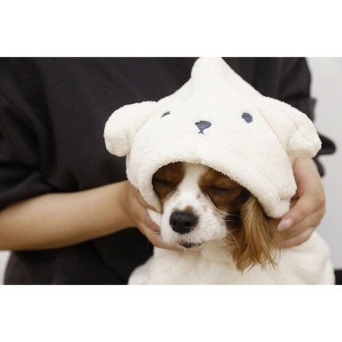 ペット用ローブ hachi カラリペットローブ