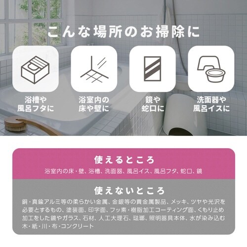 お風呂洗剤 100g 業務用 浴室クレンザー