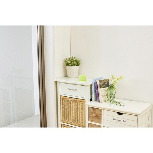 防カビ剤 85g フレグランス ミント