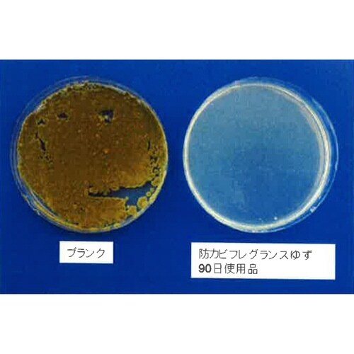 防カビ剤 85g フレグランス ゆず