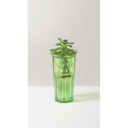 花瓶 グロウベース クリア グリーン