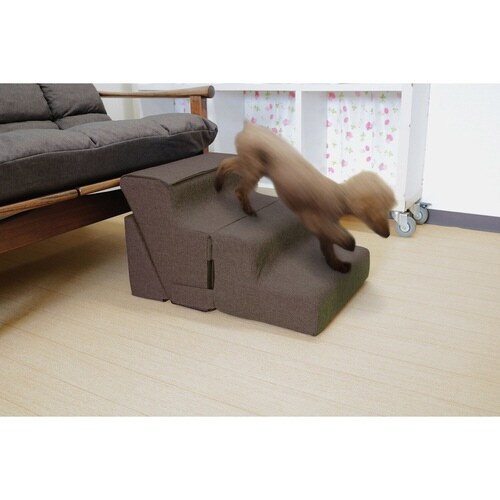 ドッグステップ 3変化 ブラウン