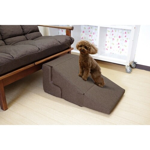 ドッグステップ 3変化 ブラウン