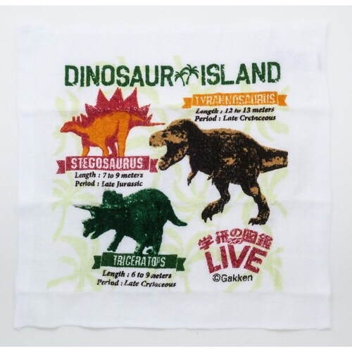 おしぼりセット 抗菌 ケース付き