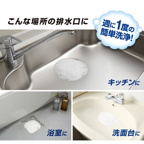 排水口洗剤 ヌメリ取り 2回分