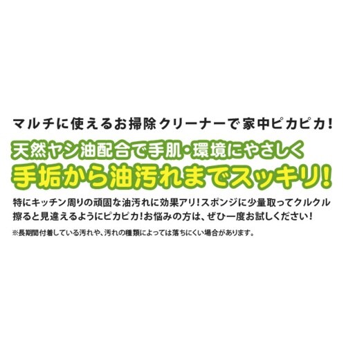 コゲ落とし 200g ヤシの実ホワイト