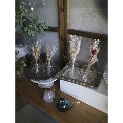 ドライフラワー Into The イエロー