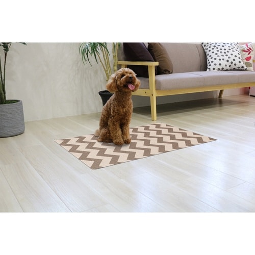 ペット用消臭防水シート ブラウン