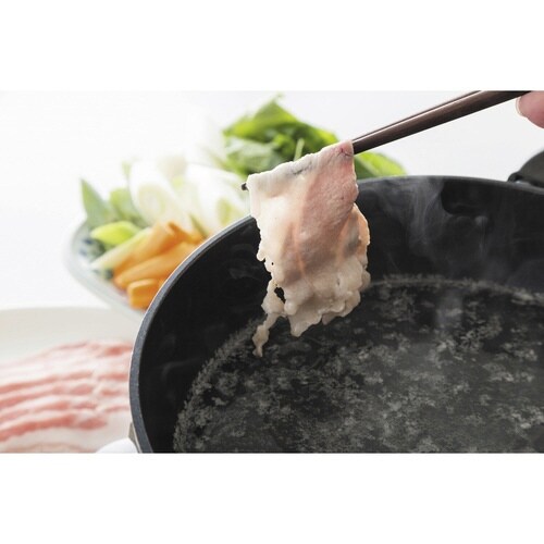 電気片手鍋 16cm ERETTO mono