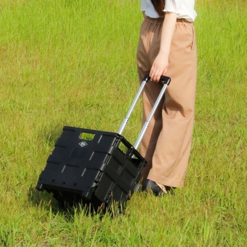 キャリーカート 折りたたみ ブラック