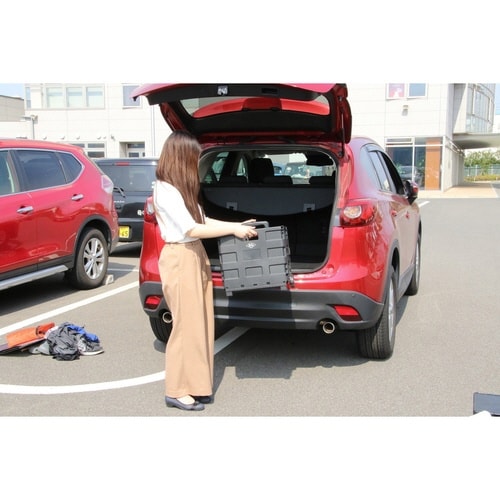 キャリーカート 折りたたみ ブラック