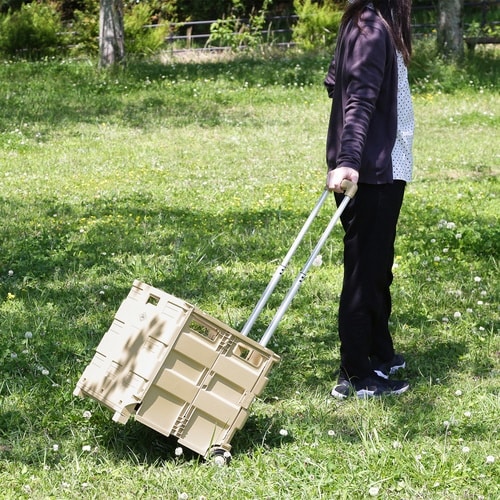 キャリーカート 折りたたみ 蓋付き ベージュ