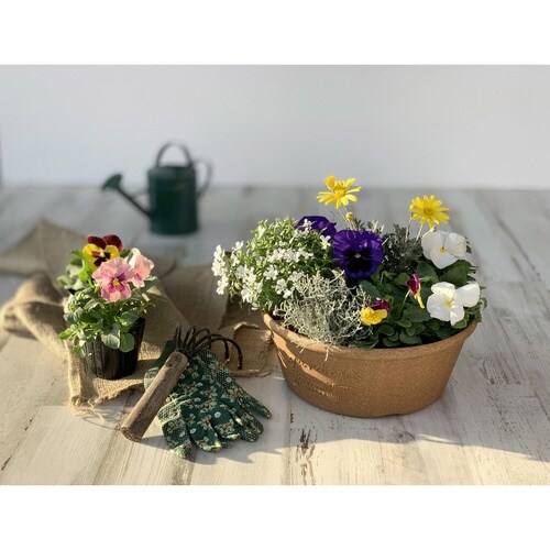 プランター エコプランター浅型 ナチュラル