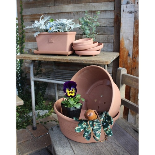 プランター エコプランター浅型 素焼き