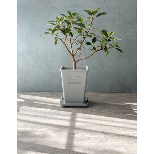 植木鉢 エコポット角型ロング 木粉入り グレー