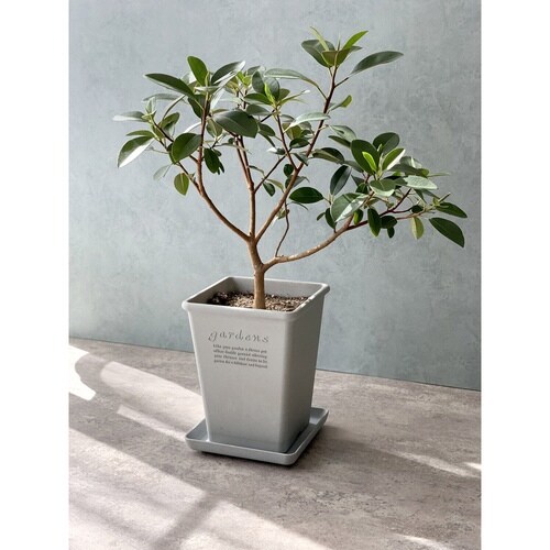 植木鉢 エコポット角型ロング 木粉入り グレー