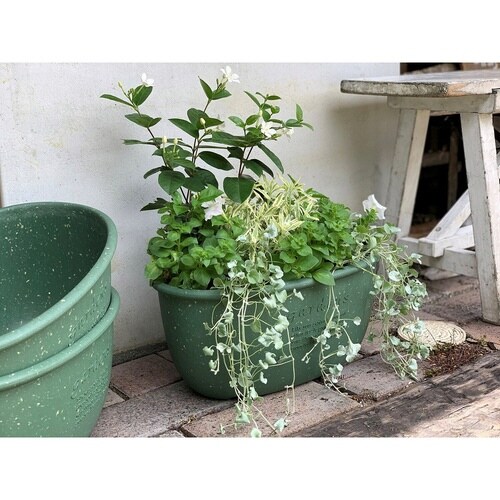 プランター エコプランターオーバル グリーン