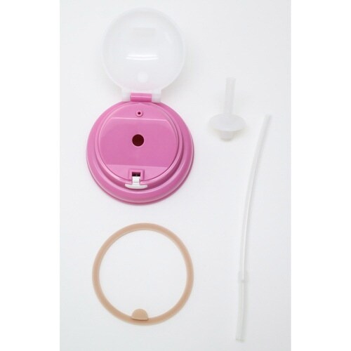 水筒 ストロー付水筒 ハローキティフルーツ