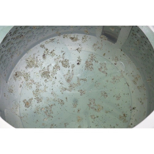 洗濯機洗剤 コインランドリーの洗濯槽クリーナー