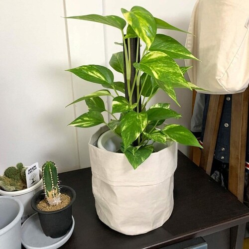 鉢カバー プランターカバー Mサイズ ホワイト