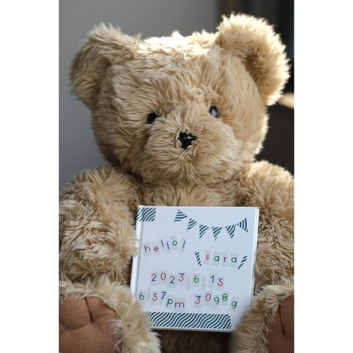 マスキングテープ mt PAPIER TIGRE