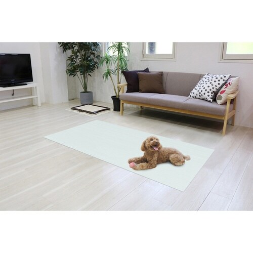 ひんやりマット ペット 犬 猫 ライトブルー