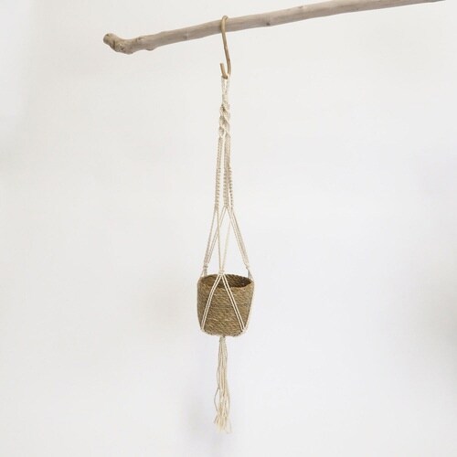 ハンギングポット マメクラ C